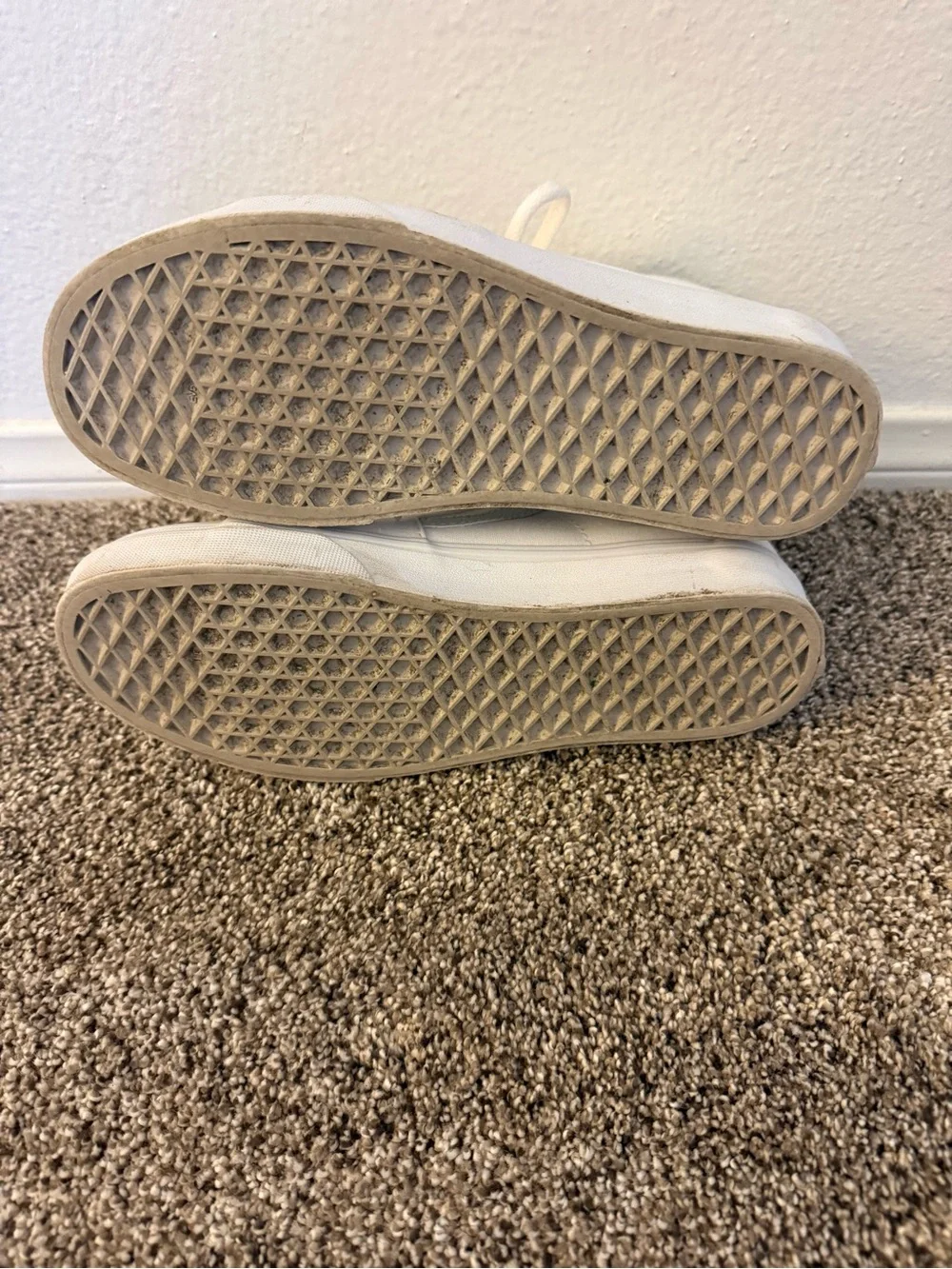 Vans sk women’s